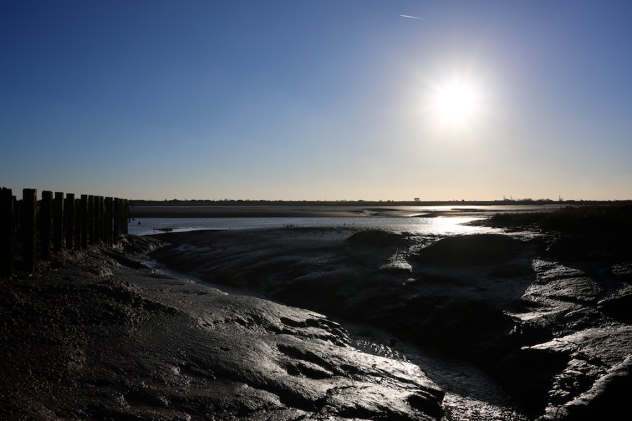 Louise_downe_walks_near_london_Benfleet 2