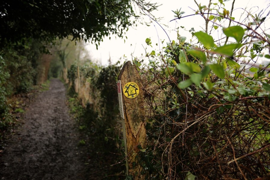 Louise_downe_walks_near_london_noth_downs_way 4